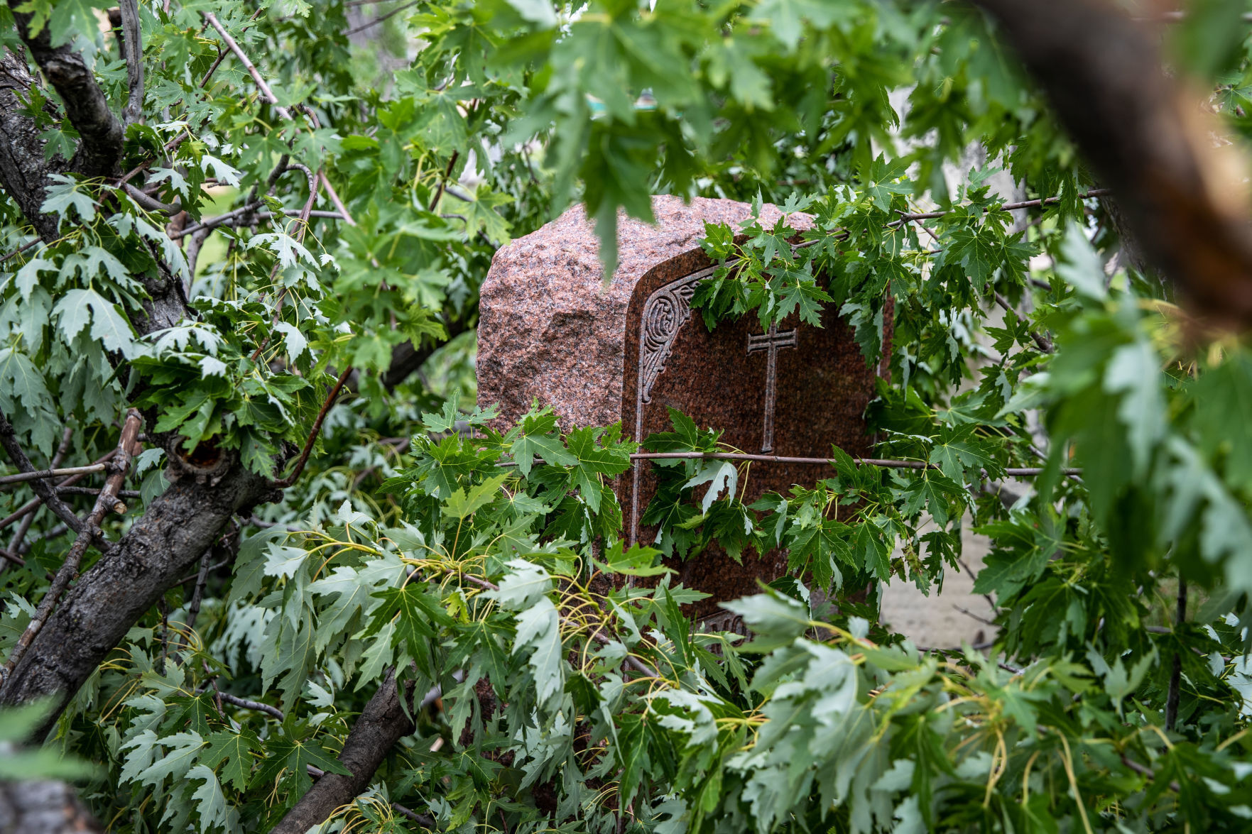 071121-owh-new-stormdamage-pic-CM019.jpg